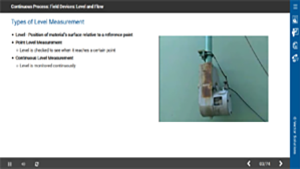 Continuous Process: Field Devices: Level and Flow