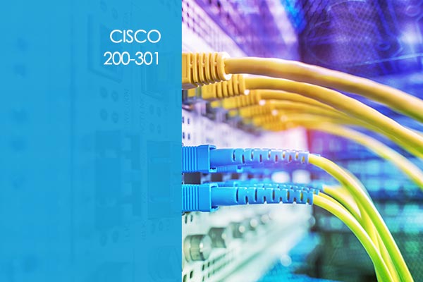 Cisco 200-301: Cisco Certified Network Associate (CCNA Sns-Brigh10