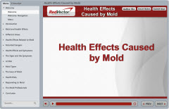 Health Effects Caused by Mold